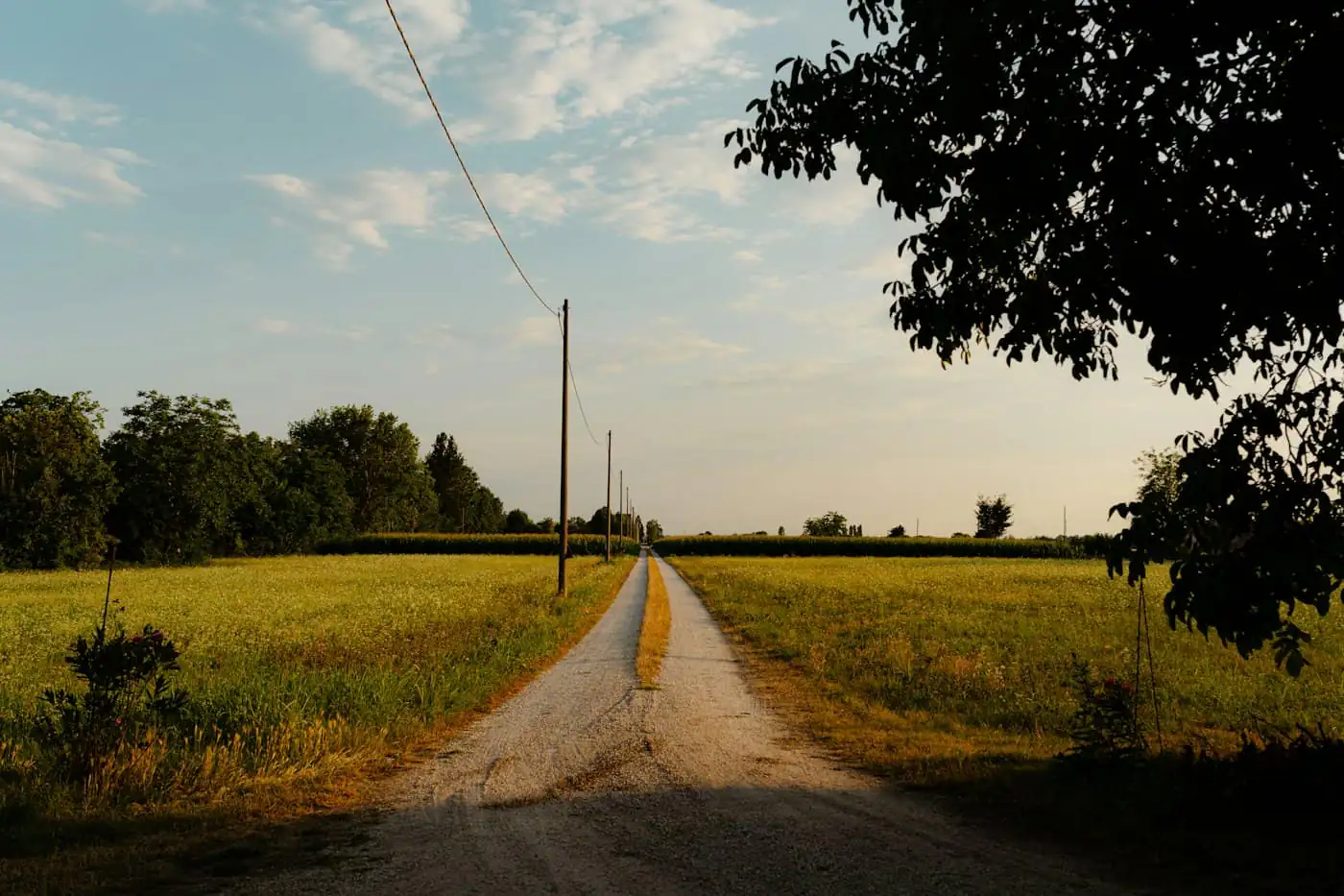 Cleared flat plot of land with a fence and a dirt access road before building